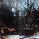 아라리오 이미지