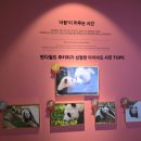 동산약국 | 에버랜드 거품멍전, 바오하우스 관람 후기