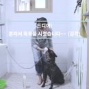 필터생각 이미지