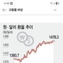 엔화 따라가는 원화…BOJ 금리인상, 원·달러 환율 전환점 되나 이미지