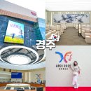 감정정비센터 | 경주 APEC 2025 화백컨벤션센터 정상회의장 관람 후기
