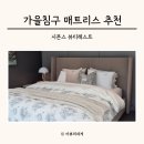 시몬스갤러리광주 | 가을침구 부모님 침대 매트리스 추천 시몬스 경기광주점