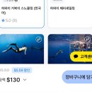 거북이 | 하와이 투어 16주 임산부 오션스타 거북이 스노쿨링 솔직후기