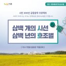 프로젝트삼백
