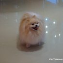 스파트리송정 이미지