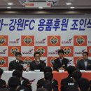 유한회사 싸카