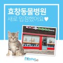 효창동물병원 이미지