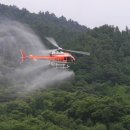 보성항공