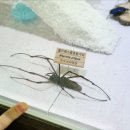 여주곤충박물관 이미지