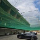 개미골프 연습장 이미지