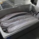 명가장어 이미지