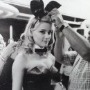 조니모터스 이미지