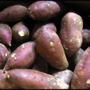 거산(아) 이미지