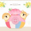 서울바른이치과 네이버블로그