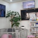 장수동물의료원 이미지