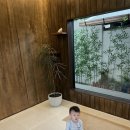 스테이 훔 이미지