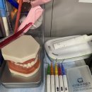 지지골 | 하단치과추천 임플란트 자주 묻는 3가지