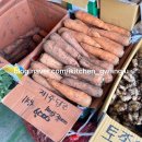 송정서초교병설유치원 이미지