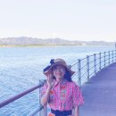 황골장미마을 이미지