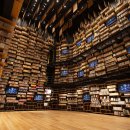 엑스포관광문화거리 이미지