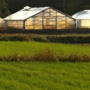 형제부동산 이미지