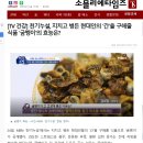 꽃벵이환 추천 굼벵이 환 복용법 수월환 남성피로회복제로 챙겨요
