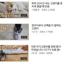 학원목장 이미지