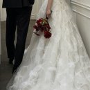 [Wedding 13-1] 천안 스튜디오림 후기 I 조화 소품 | 다이렉트웨딩 9만원 캐쉬백 꿀팁🤍