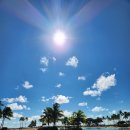 1651 | 하와이 가성비 저렴한 주차장 정보 1651 ala Moana blvd parking