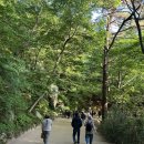 석굴암 - 1656 | 부처님 오신 날 석굴암&불국사 "오픈런" 성공 후기! (새벽 주차, 공양 시간, 꿀팁 총정리)