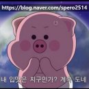 리본즈 중고명품 첫 구매후기 _ 올드셀린느 귀하다