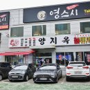 영스시 이미지