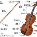 비올라 이미지