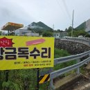 화순전남대학교병원(급식) | 방문하여 '한우미나리덮밥' 한 끼 식사 후기 - 화순 파스타 맛집/현지인 맛집(화순 전남대학교 병원 인근)