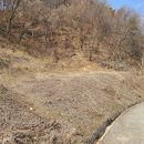 호 농장 이미지