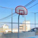 셀로판B 이미지