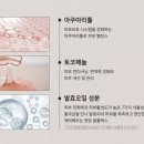 무드 핸드 이미지