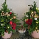 관호초교(병설) 이미지