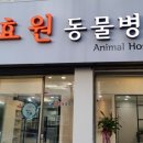 효원동물병원 이미지