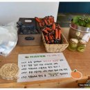 제주 감귤의 달콤함을 내 손으로 달달미깡 감귤밭 후기