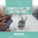 능주센터-비상 15 | [원예치유프로그램] 테라리움 만들기 교육