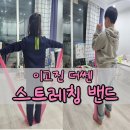 더센 | 이고진 더센 라텍스밴드 강도 0.3 후기 아이와 함께하는 GX 밴드운동 홈트레이닝
