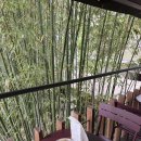 (주)모모스 이미지