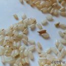 남경한의원 이미지