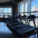 갱스터짐 이미지