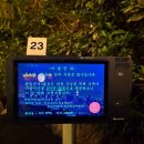 5321 | 을지로에서 만나는 루프탑 와인바 맛집 어나더레벨ㅣ분위기 좋은 힙지로 감성술집 방문후기