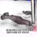 서울송도병원 이미지