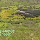 생태민박 이미지