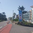 나비스 호스텔 이미지