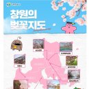 개화주유소 | 명소]사진 예쁘게 잘 나오는 마산가포동백 벚꽃길 실시간 개화현황 드라이브코스 추천 (이번 주말 절정!)